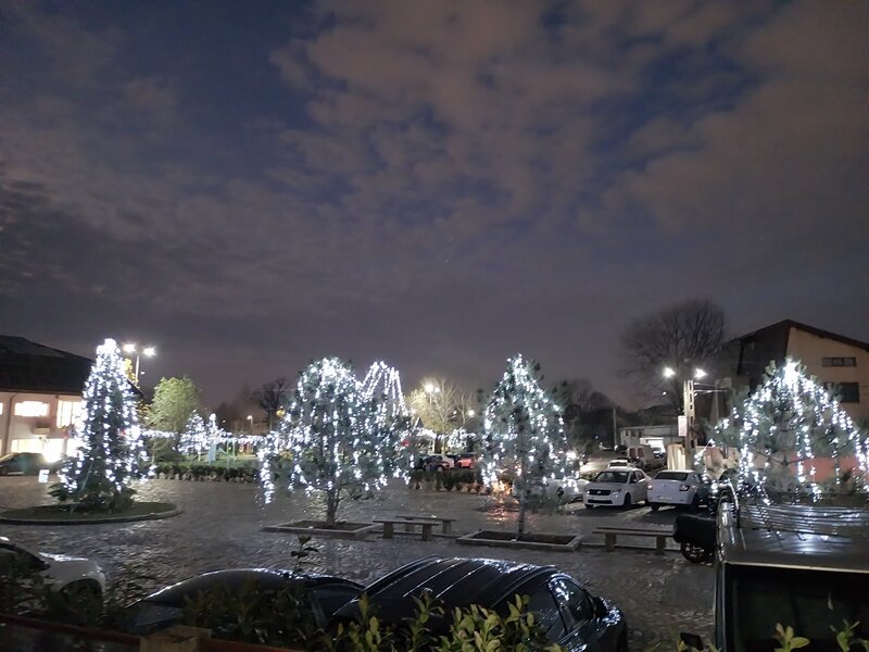 Orhideelor, Dudu, Chiajna,