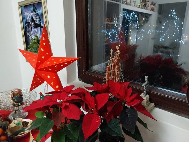 Orhideelor, Dudu, Chiajna,